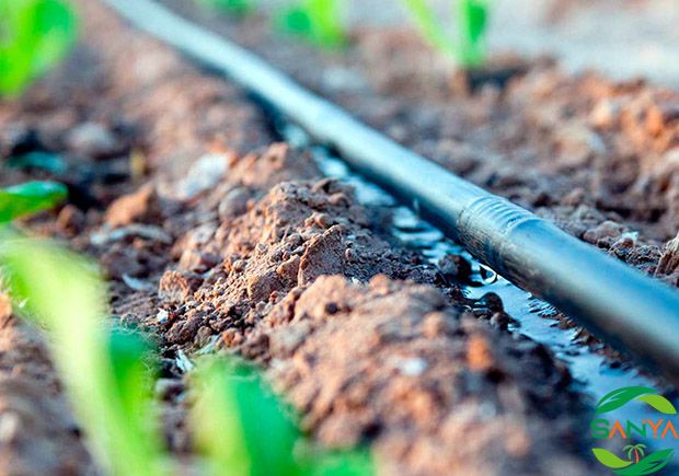 2024海南特種肥料展覽會(huì)