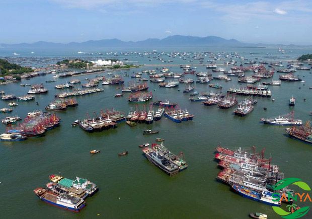 2024海南三亞農(nóng)業(yè)展